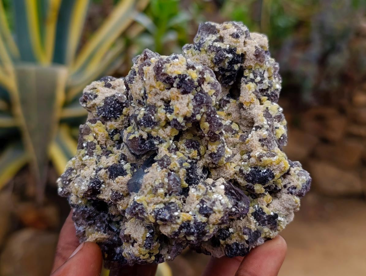 Natural Smokey Fluorite with Yellow Muscovite Mica Specimens x 2 From Erongo, Namibia - Toprock Gemstones and Minerals 