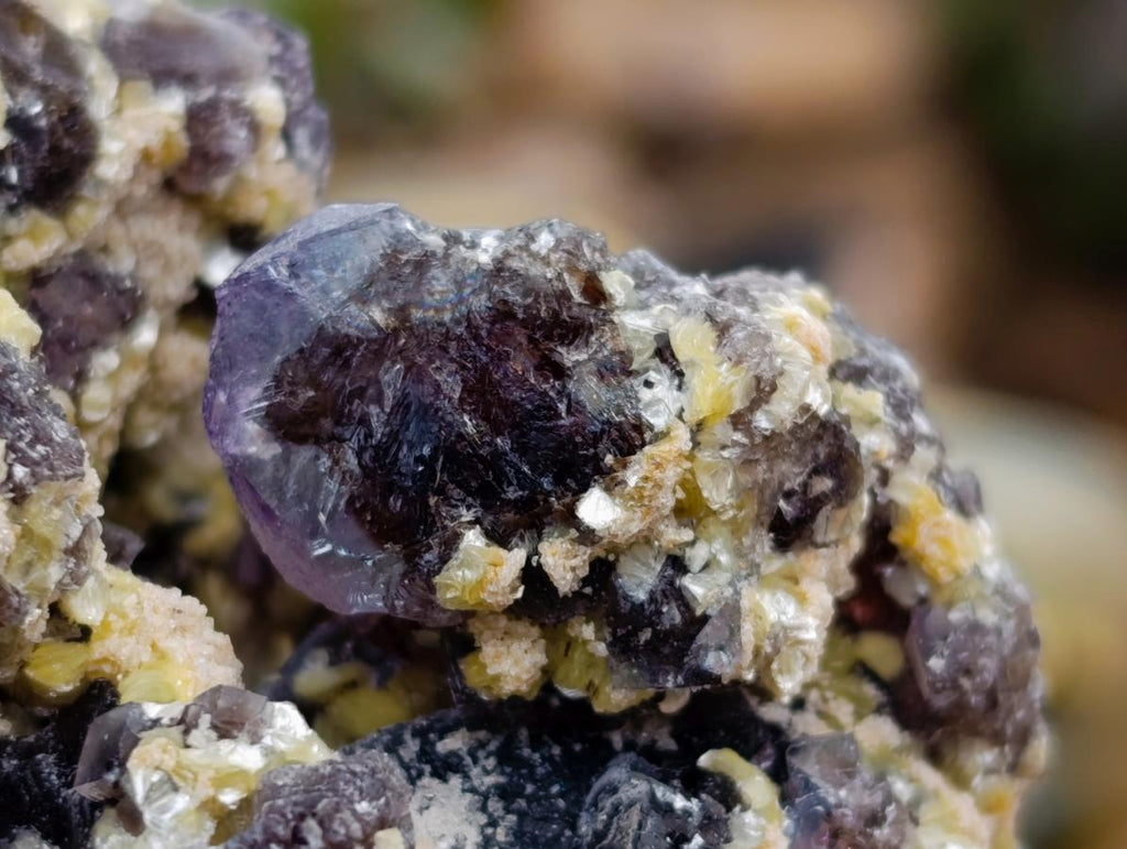 Natural Smokey Fluorite with Yellow Muscovite Mica Specimens x 2 From Erongo, Namibia - Toprock Gemstones and Minerals 