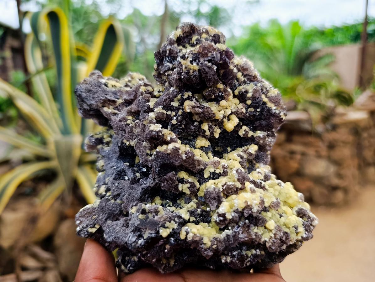 Natural Smokey Fluorite with Yellow Muscovite Mica Specimens x 2 From Erongo, Namibia - Toprock Gemstones and Minerals 