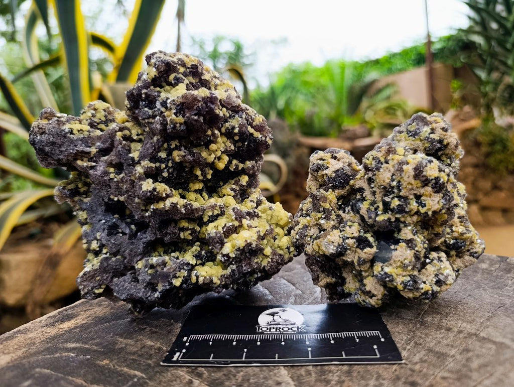Natural Smokey Fluorite with Yellow Muscovite Mica Specimens x 2 From Erongo, Namibia - Toprock Gemstones and Minerals 