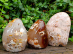 Polished Flower Agate Standing Free Forms x 3 From Antsahalova, Madagascar - Toprock Gemstones and Minerals 