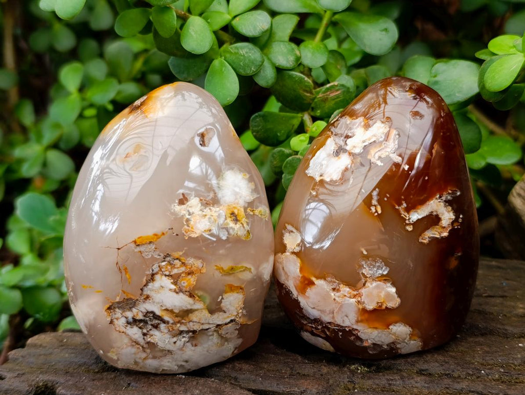 Polished Flower Agate Standing Free Forms x 3 From Antsahalova, Madagascar - Toprock Gemstones and Minerals 