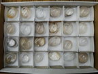 Polished Clear Quartz Crystal Galets x 24 From Madagascar - Toprock Gemstones and Minerals 