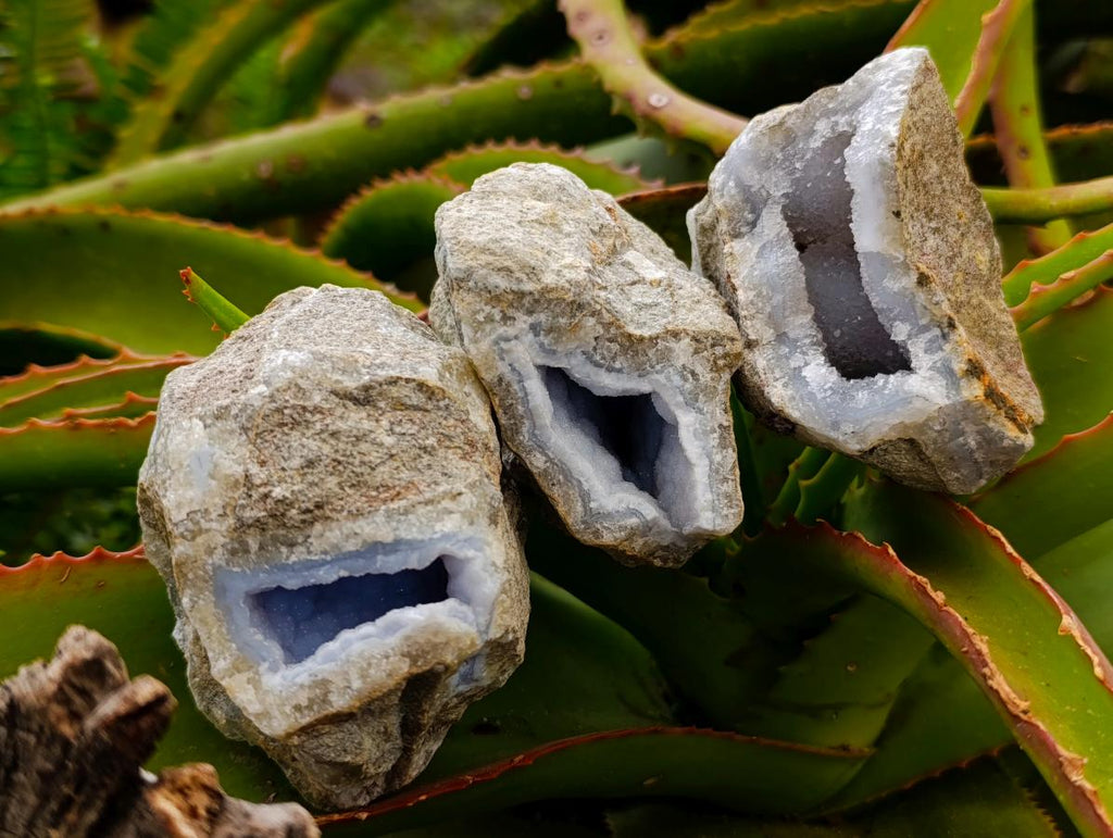 Natural Blue Lace Agate Geode Specimens x 12 From Nsanje, Malawi - Toprock Gemstones and Minerals 