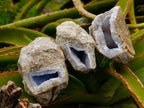 Natural Blue Lace Agate Geode Specimens x 12 From Nsanje, Malawi - Toprock Gemstones and Minerals 