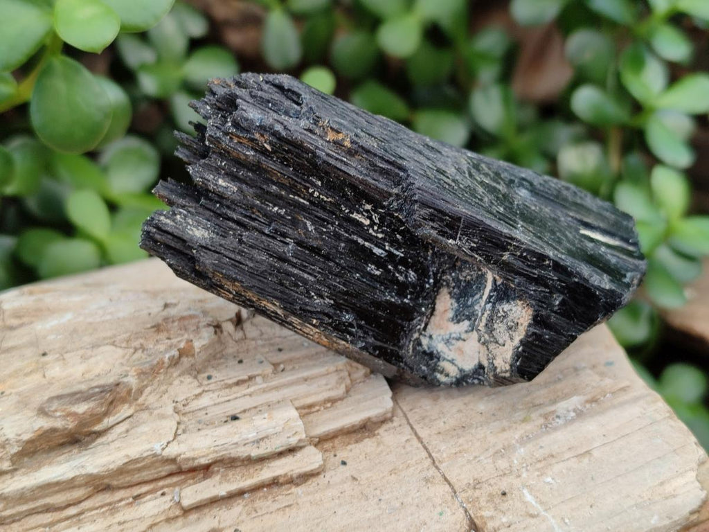Natural Schorl Black Tourmaline Specimens x 6 From Erongo, Namibia - Toprock Gemstones and Minerals 