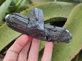 Natural Schorl Black Tourmaline Specimens x 6 From Erongo, Namibia - Toprock Gemstones and Minerals 
