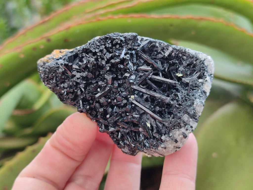 Natural Schorl Black Tourmaline Specimens x 6 From Erongo, Namibia - Toprock Gemstones and Minerals 