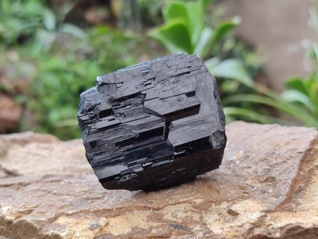 Natural Schorl Black Tourmaline Specimens x 6 From Erongo, Namibia - Toprock Gemstones and Minerals 