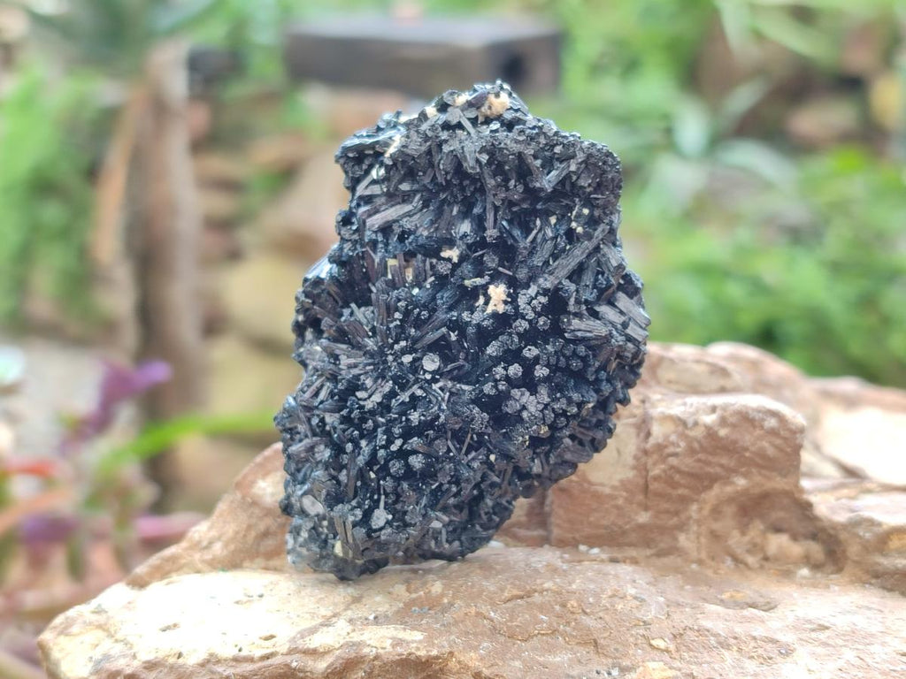 Natural Schorl Black Tourmaline Specimens x 6 From Erongo, Namibia - Toprock Gemstones and Minerals 