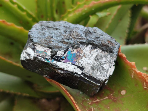 Natural Bright Silver Lead Galena Cobbed Specimens x 6 From Kaokoveld, Namibia - Toprock Gemstones and Minerals 