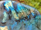 Polished Labradorite Standing Free Forms x 2 From Madagascar - Toprock Gemstones and Minerals 