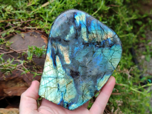 Polished Labradorite Standing Free Forms x 2 From Madagascar - Toprock Gemstones and Minerals 