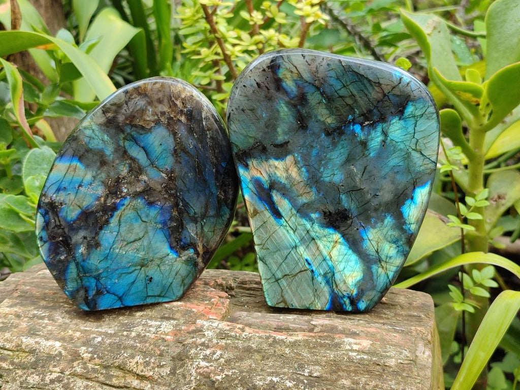 Polished Labradorite Standing Free Forms x 2 From Madagascar - Toprock Gemstones and Minerals 