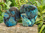 Polished Labradorite Standing Free Forms x 2 From Madagascar - Toprock Gemstones and Minerals 