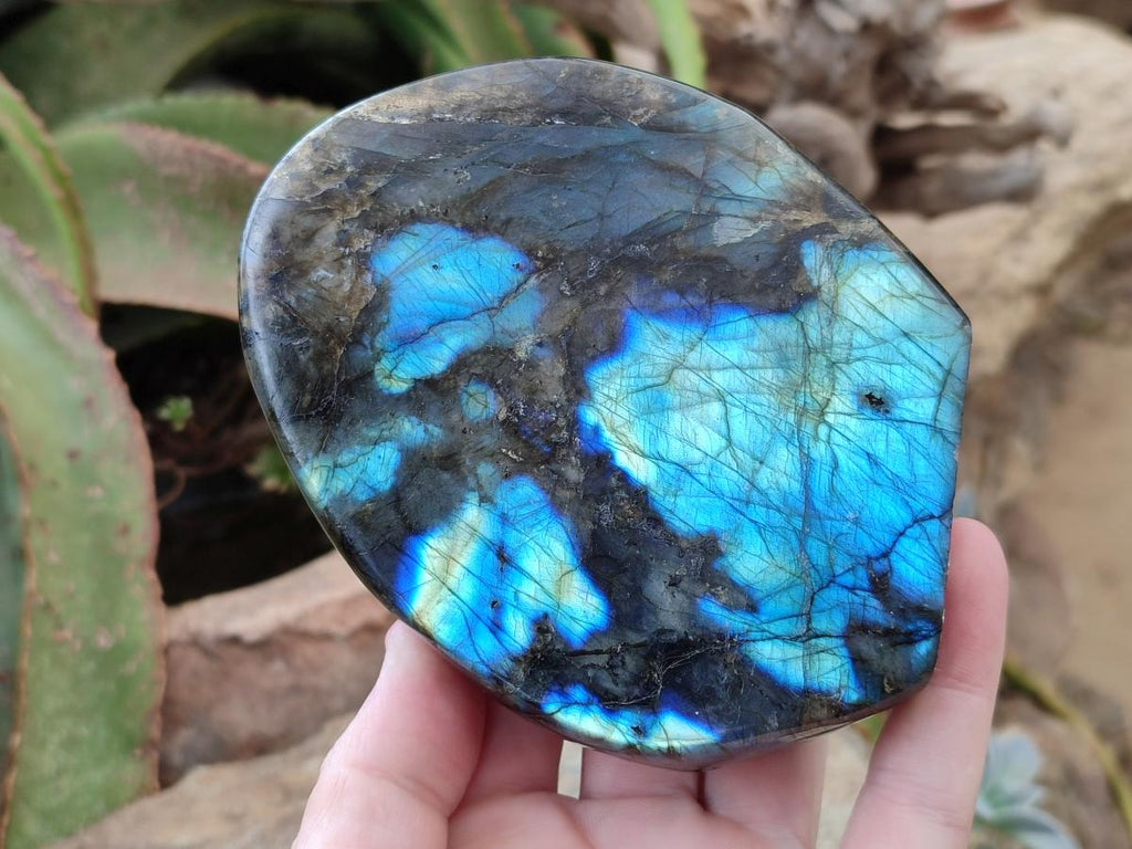 Polished Labradorite Standing Free Forms x 2 From Madagascar - Toprock Gemstones and Minerals 