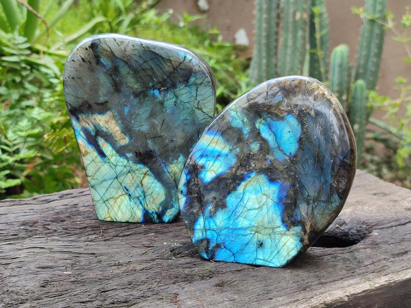 Polished Labradorite Standing Free Forms x 2 From Madagascar - Toprock Gemstones and Minerals 