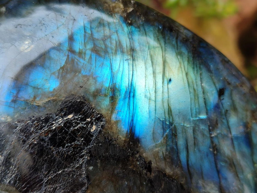 Polished Labradorite Standing Free Forms x 2 From Madagascar - Toprock Gemstones and Minerals 