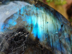 Polished Labradorite Standing Free Forms x 2 From Madagascar - Toprock Gemstones and Minerals 