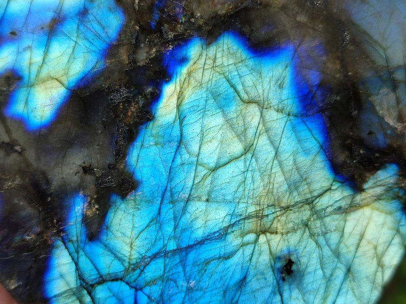 Polished Labradorite Standing Free Forms x 2 From Madagascar - Toprock Gemstones and Minerals 