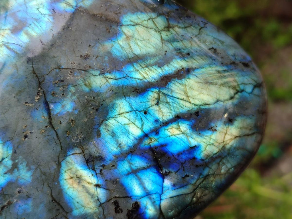 Polished Labradorite Standing Free Forms x 2 From Madagascar - Toprock Gemstones and Minerals 
