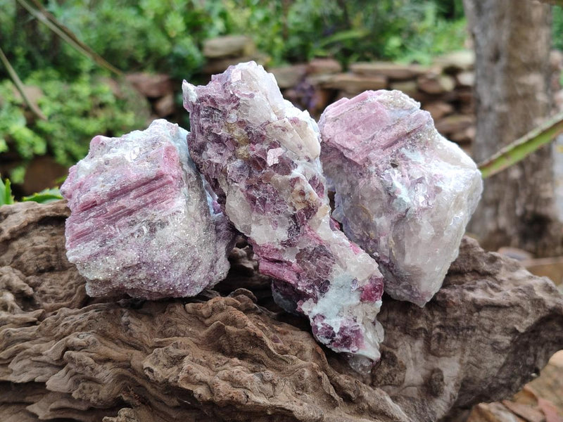 Natural Pink Rubellite Tourmaline Specimens x 6 From Karibib, Namibia - Toprock Gemstones and Minerals 