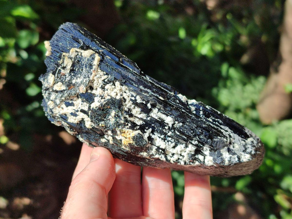 Natural Schorl Black Tourmaline with Feldspar Specimens x 2 From Erongo, Namibia - Toprock Gemstones and Minerals 
