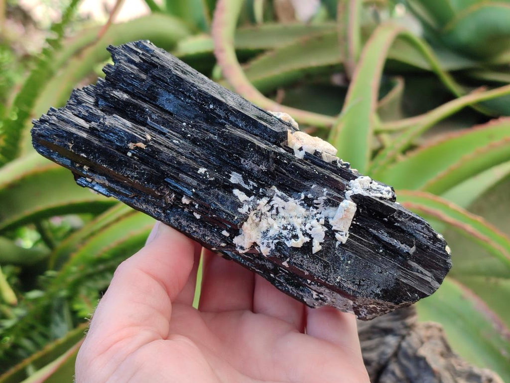 Natural Schorl Black Tourmaline with Feldspar Specimens x 2 From Erongo, Namibia - Toprock Gemstones and Minerals 