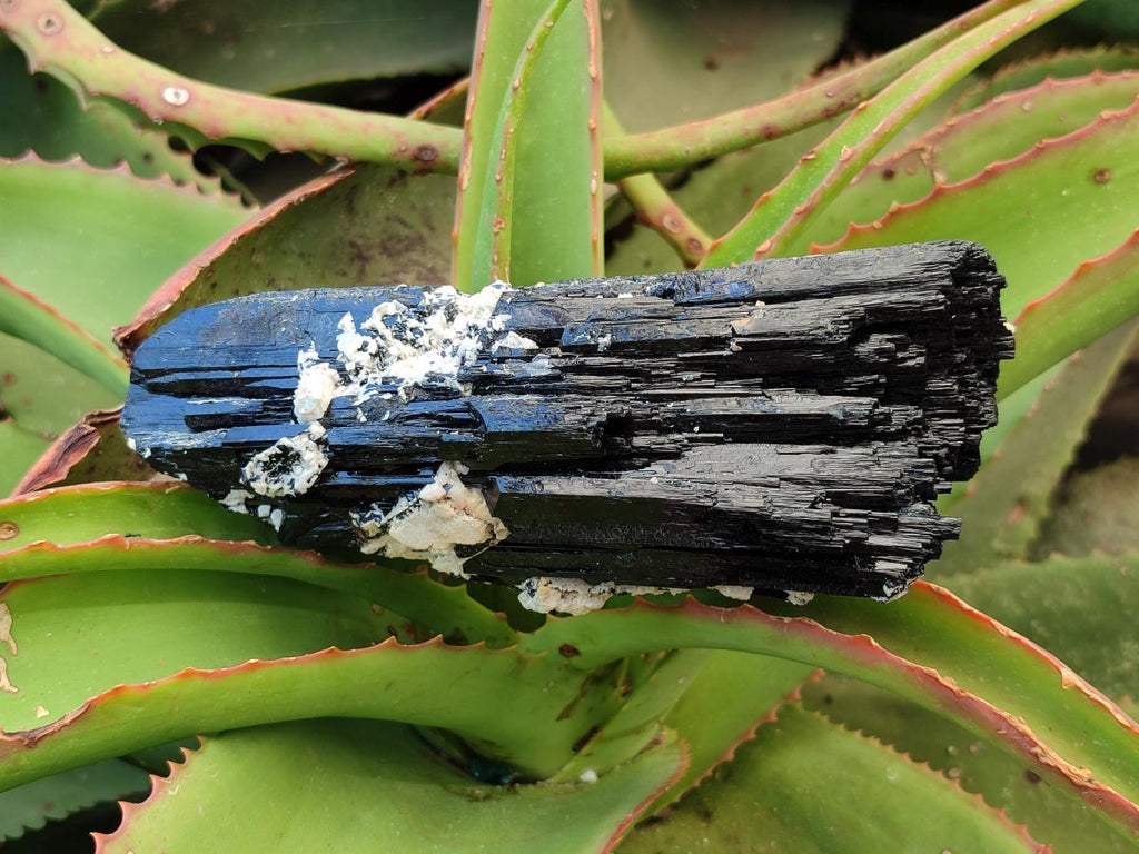 Natural Schorl Black Tourmaline with Feldspar Specimens x 2 From Erongo, Namibia - Toprock Gemstones and Minerals 