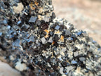 Natural Schorl Black Tourmaline with Feldspar Specimens x 2 From Erongo, Namibia - Toprock Gemstones and Minerals 
