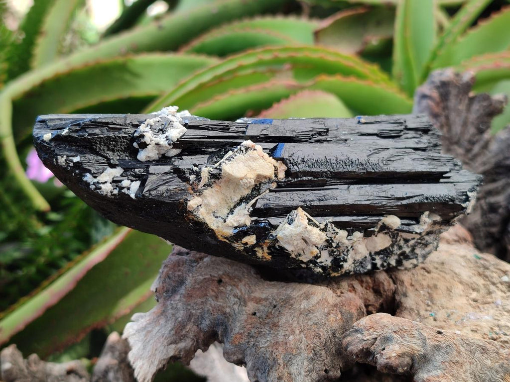 Natural Schorl Black Tourmaline with Feldspar Specimens x 2 From Erongo, Namibia - Toprock Gemstones and Minerals 