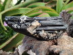 Natural Schorl Black Tourmaline with Feldspar Specimens x 2 From Erongo, Namibia - Toprock Gemstones and Minerals 