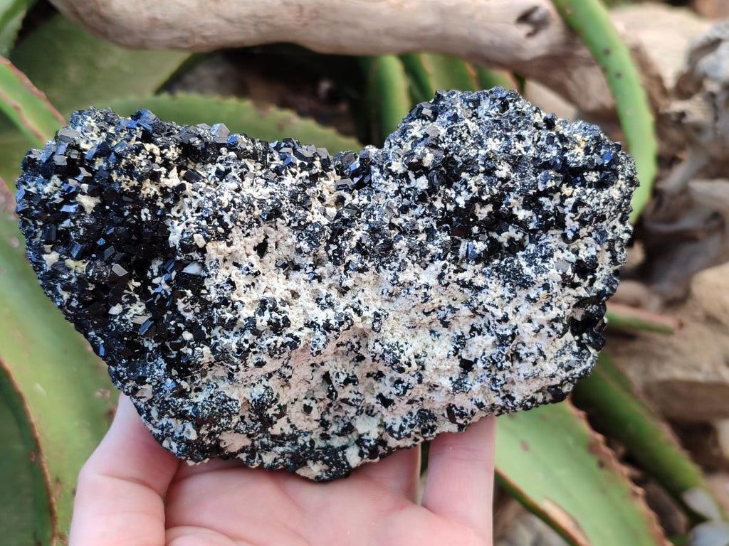 Natural Schorl Black Tourmaline with Feldspar Specimens x 2 From Erongo, Namibia - Toprock Gemstones and Minerals 