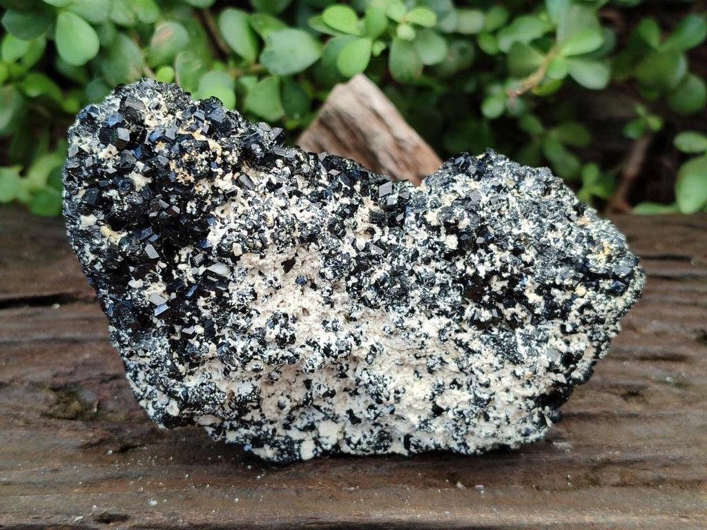 Natural Schorl Black Tourmaline with Feldspar Specimens x 2 From Erongo, Namibia - Toprock Gemstones and Minerals 