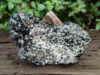 Natural Schorl Black Tourmaline with Feldspar Specimens x 2 From Erongo, Namibia - Toprock Gemstones and Minerals 