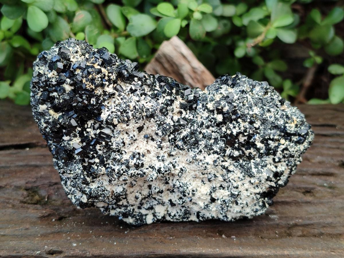 Natural Schorl Black Tourmaline with Feldspar Specimens x 2 From Erongo, Namibia - Toprock Gemstones and Minerals 