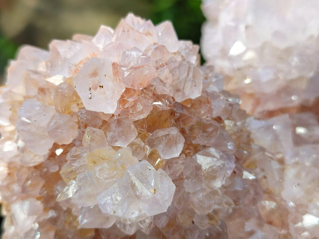 Natural Large Lilac Catcus Flower Amethyst Spirit Quartz Cluster x 1 From Boekenhouthoek, South Africa - Toprock Gemstones and Minerals 
