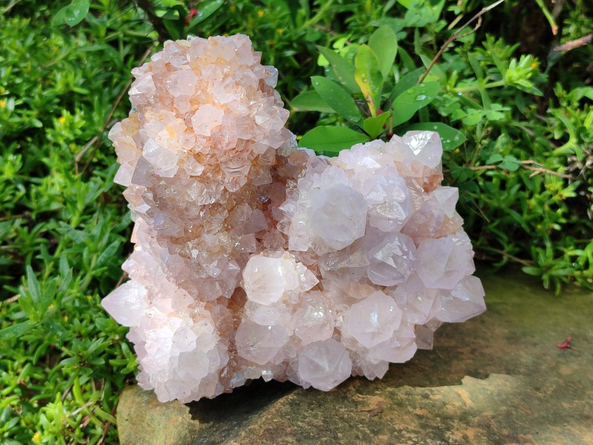 Natural Large Lilac Catcus Flower Amethyst Spirit Quartz Cluster x 1 From Boekenhouthoek, South Africa - Toprock Gemstones and Minerals 