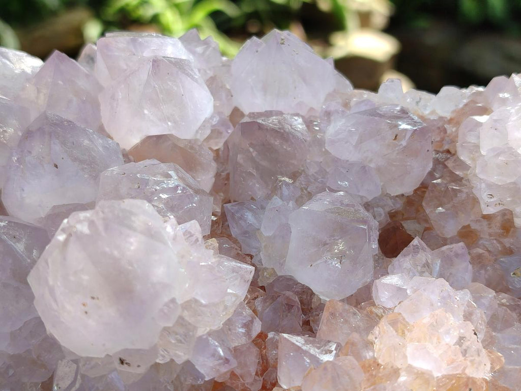 Natural Large Lilac Catcus Flower Amethyst Spirit Quartz Cluster x 1 From Boekenhouthoek, South Africa - Toprock Gemstones and Minerals 