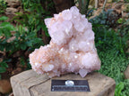 Natural Large Lilac Catcus Flower Amethyst Spirit Quartz Cluster x 1 From Boekenhouthoek, South Africa - Toprock Gemstones and Minerals 