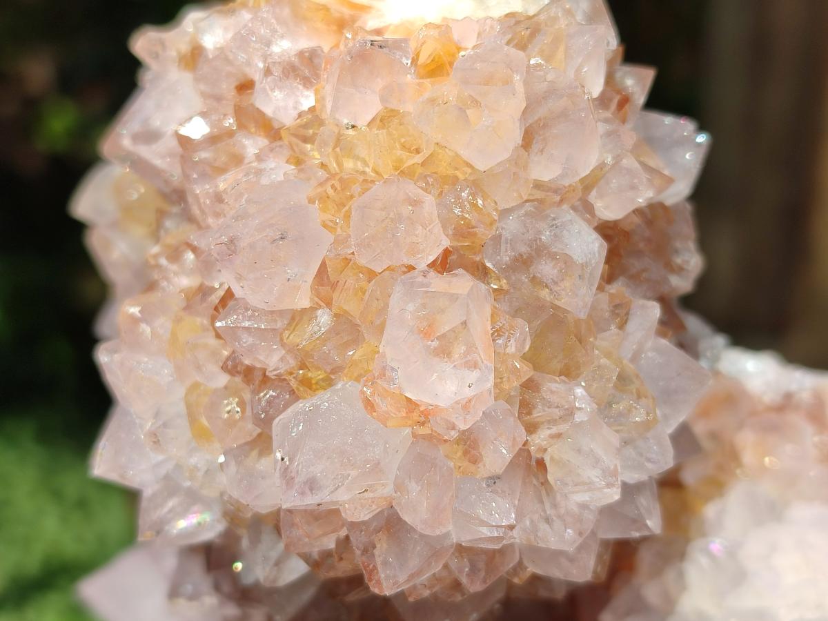 Natural Large Lilac Catcus Flower Amethyst Spirit Quartz Cluster x 1 From Boekenhouthoek, South Africa - Toprock Gemstones and Minerals 