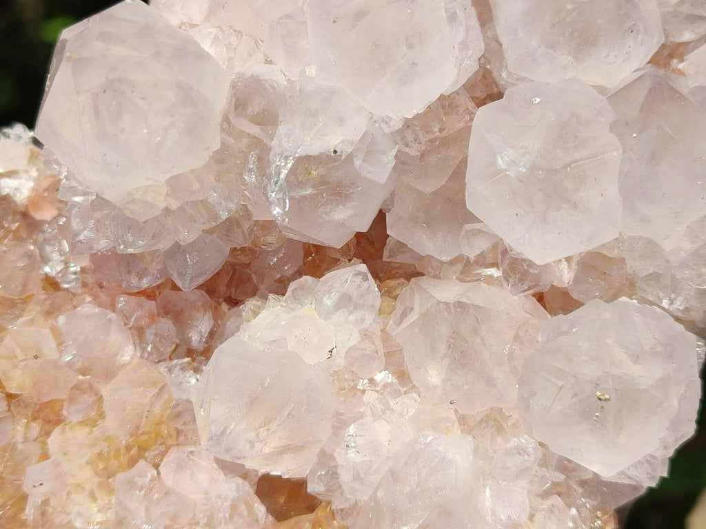 Natural Large Lilac Catcus Flower Amethyst Spirit Quartz Cluster x 1 From Boekenhouthoek, South Africa - Toprock Gemstones and Minerals 