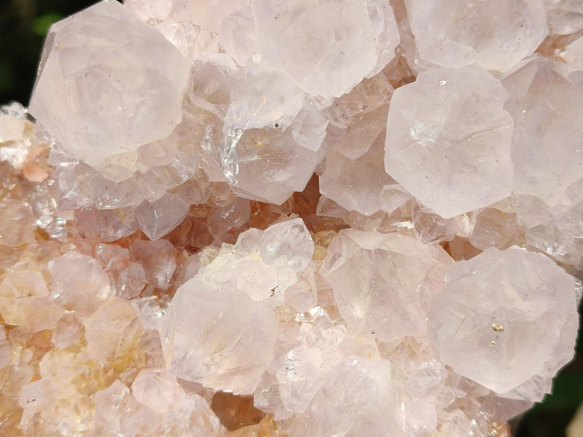 Natural Large Lilac Catcus Flower Amethyst Spirit Quartz Cluster x 1 From Boekenhouthoek, South Africa - Toprock Gemstones and Minerals 