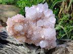 Natural Large Lilac Catcus Flower Amethyst Spirit Quartz Cluster x 1 From Boekenhouthoek, South Africa - Toprock Gemstones and Minerals 