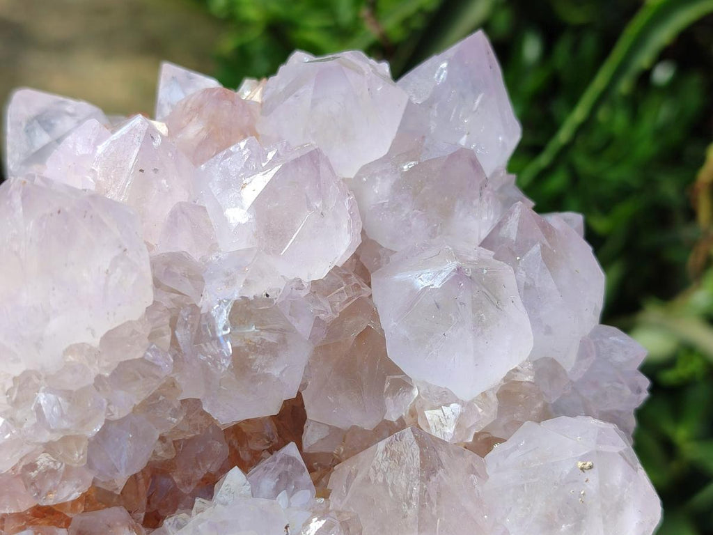 Natural Large Lilac Catcus Flower Amethyst Spirit Quartz Cluster x 1 From Boekenhouthoek, South Africa - Toprock Gemstones and Minerals 