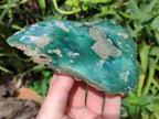 Polished On One Side Mtorolite Chrysoprase Plates x 3 From Mutorashanga, Zimbabwe - Toprock Gemstones and Minerals 