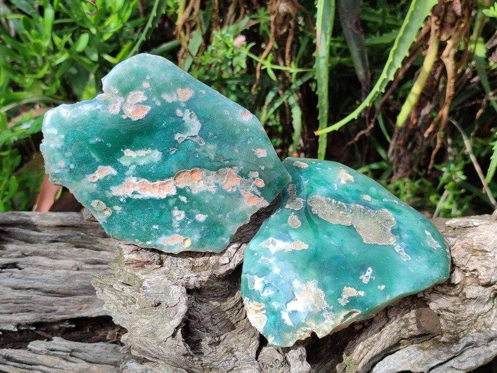 Polished On One Side Mtorolite Chrysoprase Plates x 3 From Mutorashanga, Zimbabwe - Toprock Gemstones and Minerals 