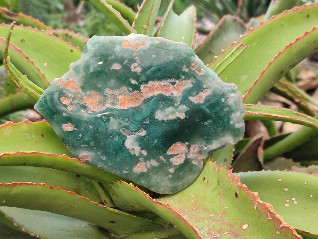 Polished On One Side Mtorolite Chrysoprase Plates x 3 From Mutorashanga, Zimbabwe - Toprock Gemstones and Minerals 