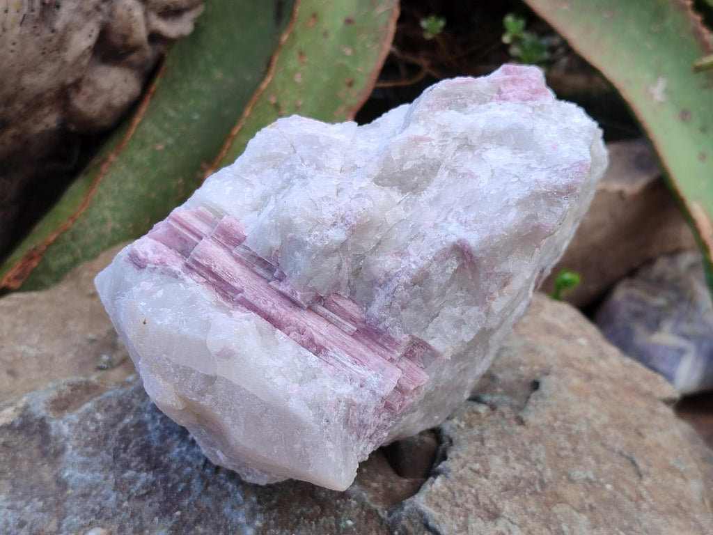 Natural Pink Rubellite Tourmaline Specimens x 3 From Karibib, Namibia - Toprock Gemstones and Minerals 