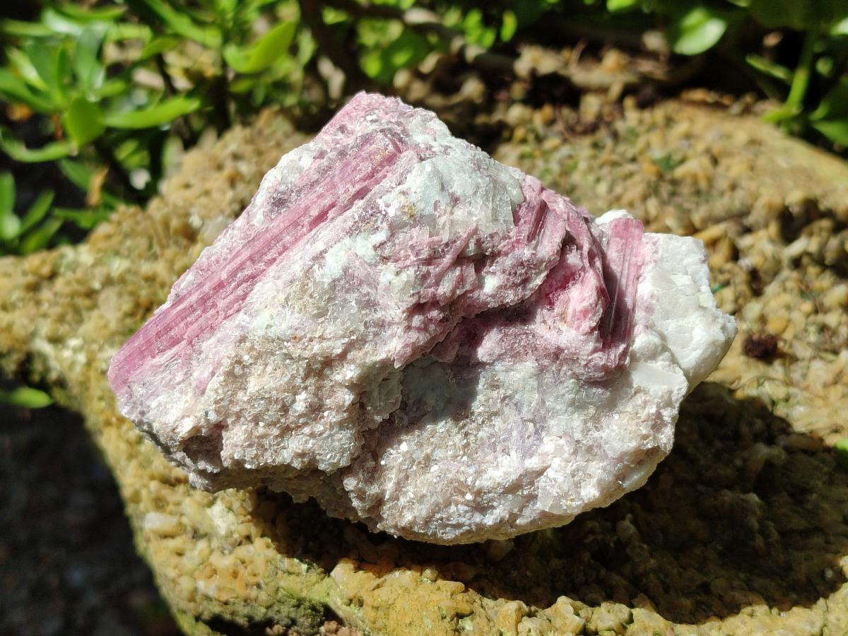 Natural Pink Rubellite Tourmaline Specimens x 3 From Karibib, Namibia - Toprock Gemstones and Minerals 